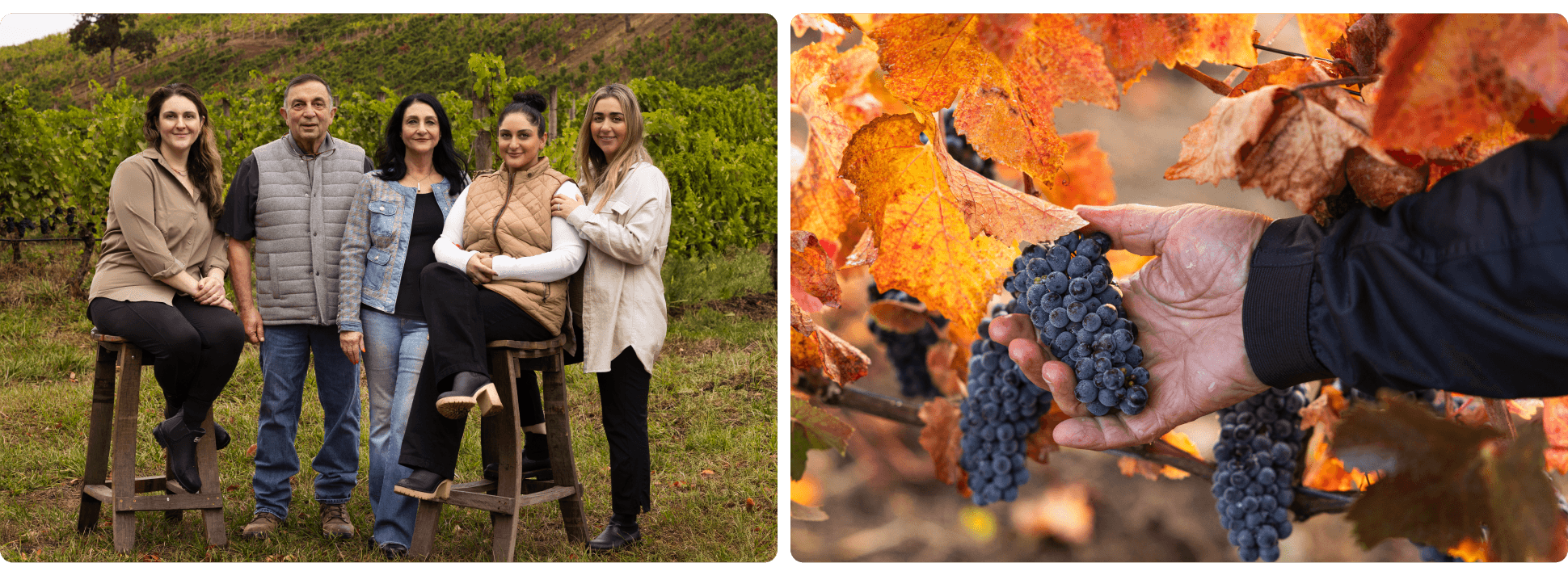 VP Momtazi Hero Images 2