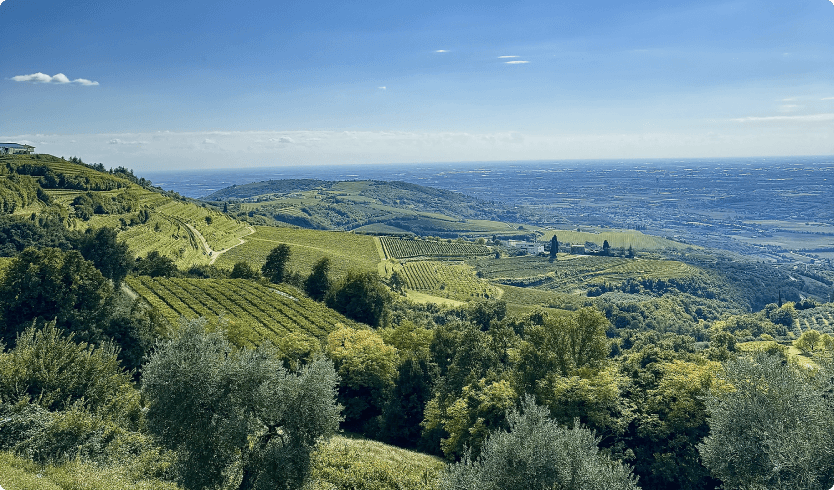 Barana Amarone  Della Valpolicella