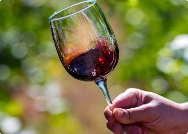 GSM Wine guide