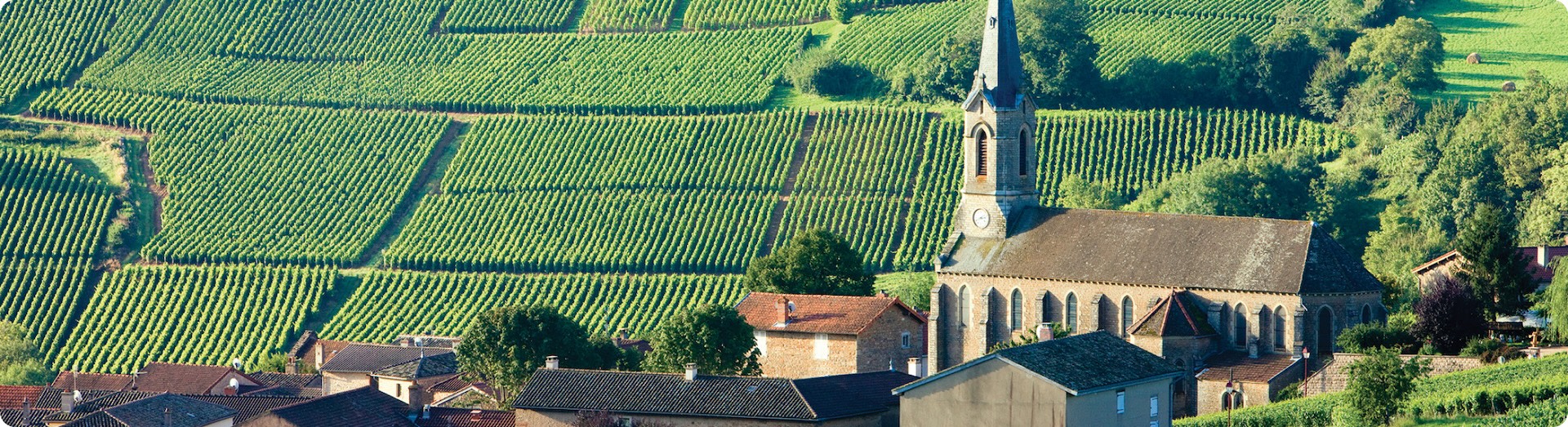 Your guide to the Burgundy wine region