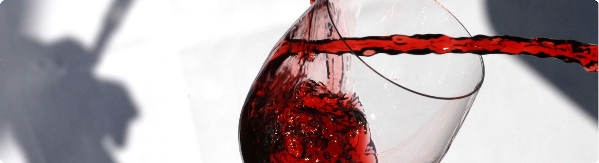 quick guide to pinot noir wine