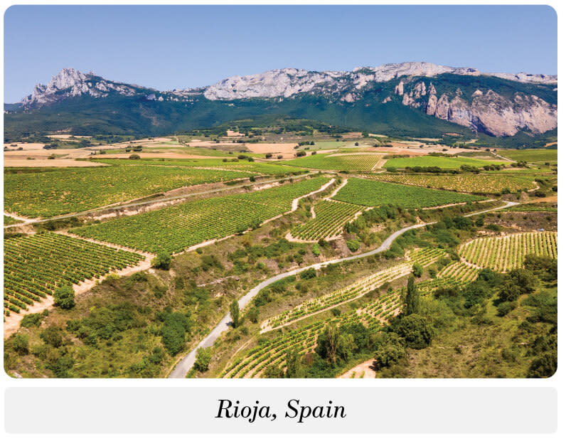 An aerial view of vineyards in Rioja, Spain