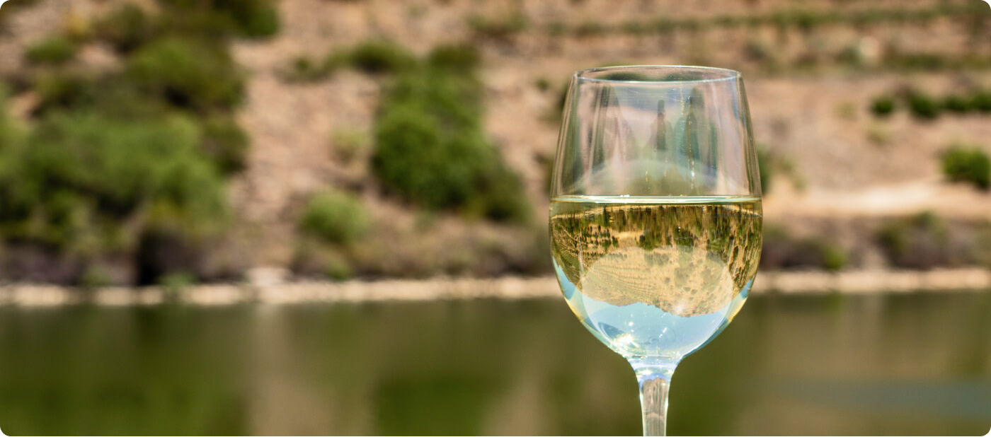 A glass of white Albariño wine with a rustic background