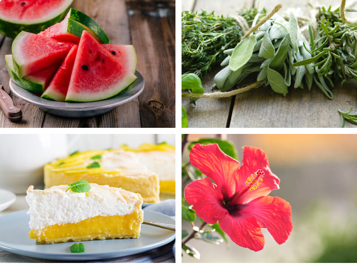 Examples of tasting notes of Rosé wine; watermelon, wild herbs, lemon meringue, hibiscus