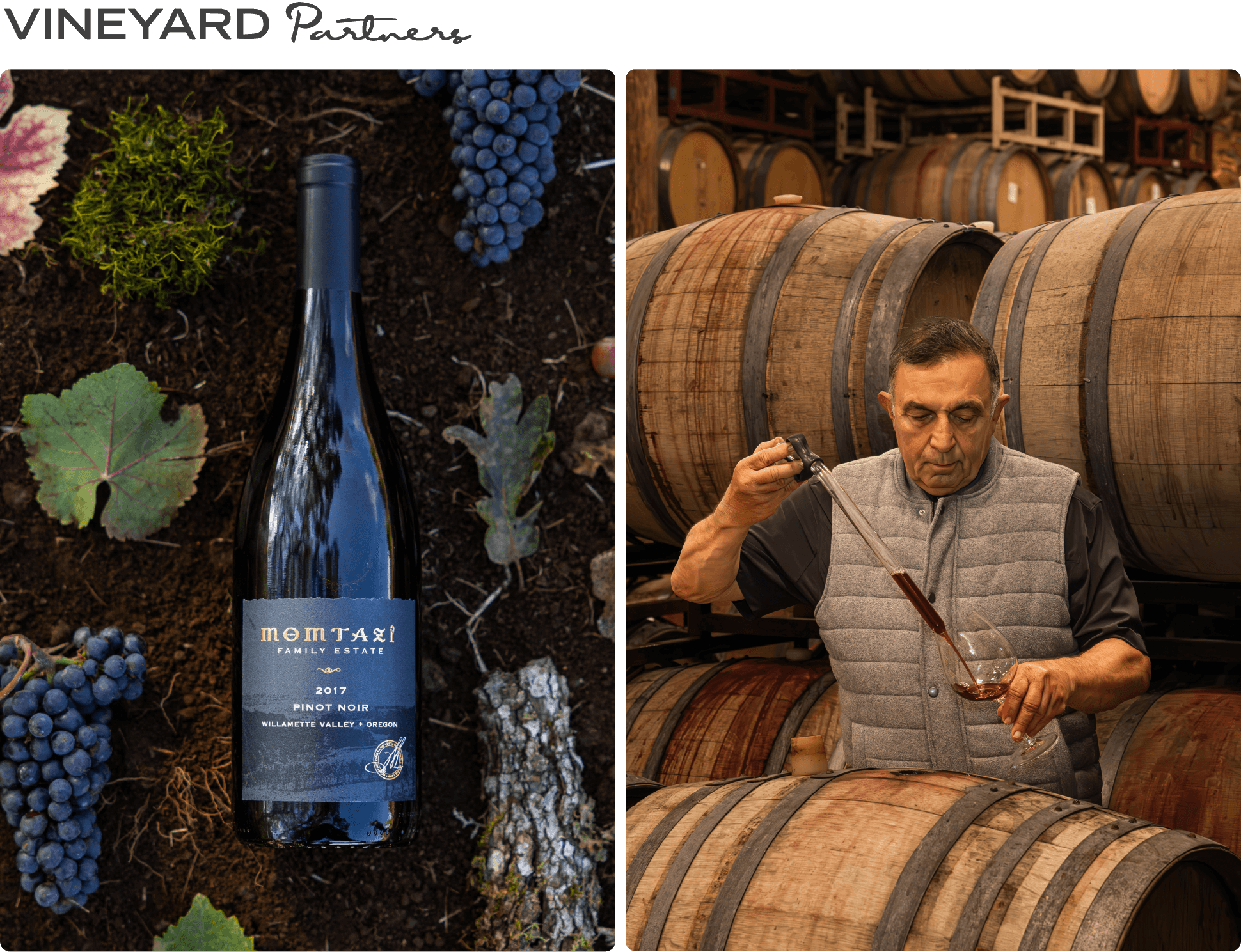 VP Momtazi Hero Images 1