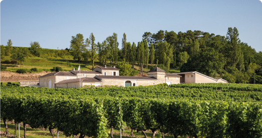 RedHeads 1888 Cabernet Sauvignon 2021