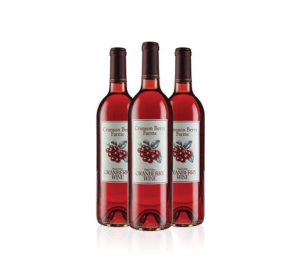 10 Pcs Premium Wine Bottle Gift Bags with Drawstring Nautical Anchor Coastal Rustic Blue Striped Reusable Wine Gift Bag for Christmas, Weddi並行輸入 | 10 Pcs Premium Wine Bottle Gift Bags with Drawstring