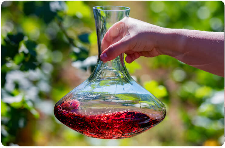 A decanter of red wine being swirled with greenery in the background