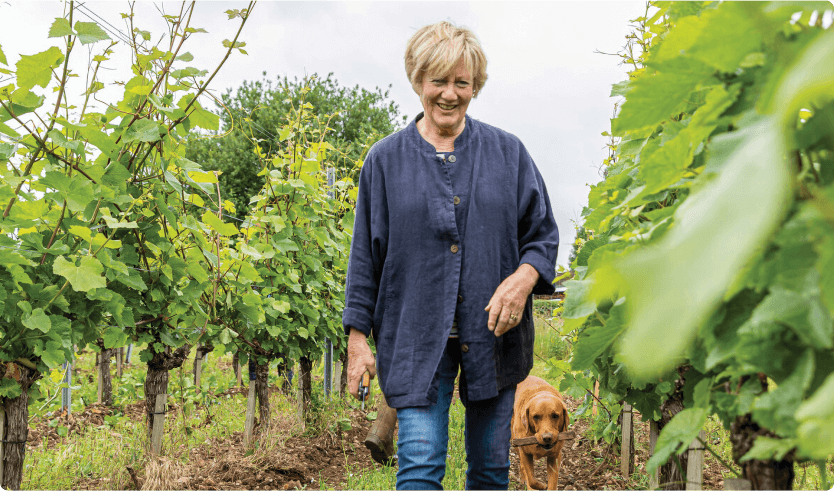 Vineyard Partners Wyfold vineyard Brut + Rosé Sparkling wines