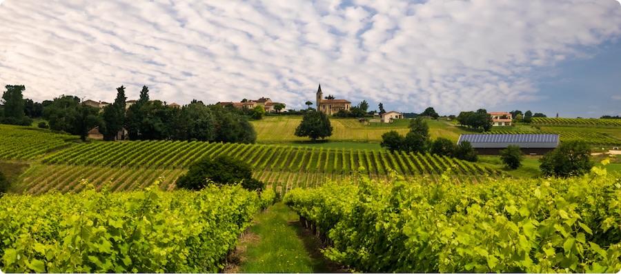Your guide to the Bordeaux wine region