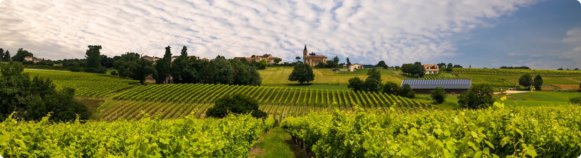 Your guide to the Bordeaux wine region