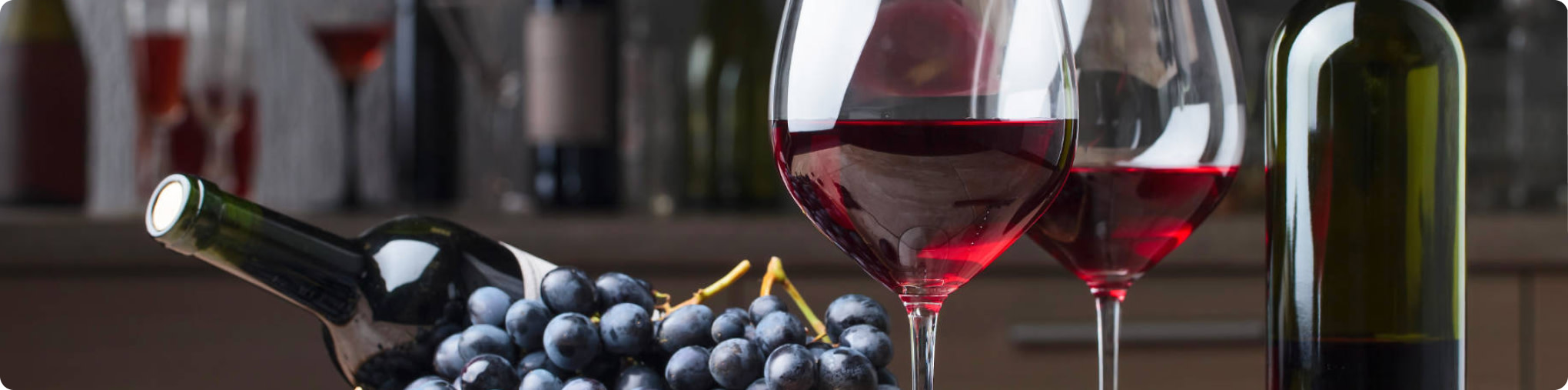 Merlot wine guide
