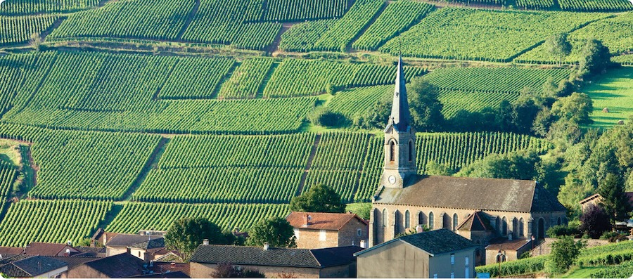Your guide to the Burgundy wine region