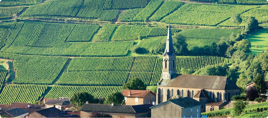 Your guide to the Burgundy wine region