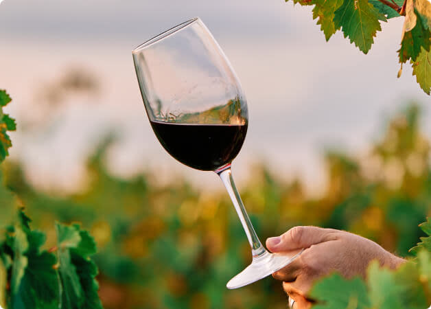 Chianti Wine Guide Blog Card Image