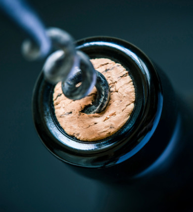Corkscrew in wine cork, opening a bottle of wine