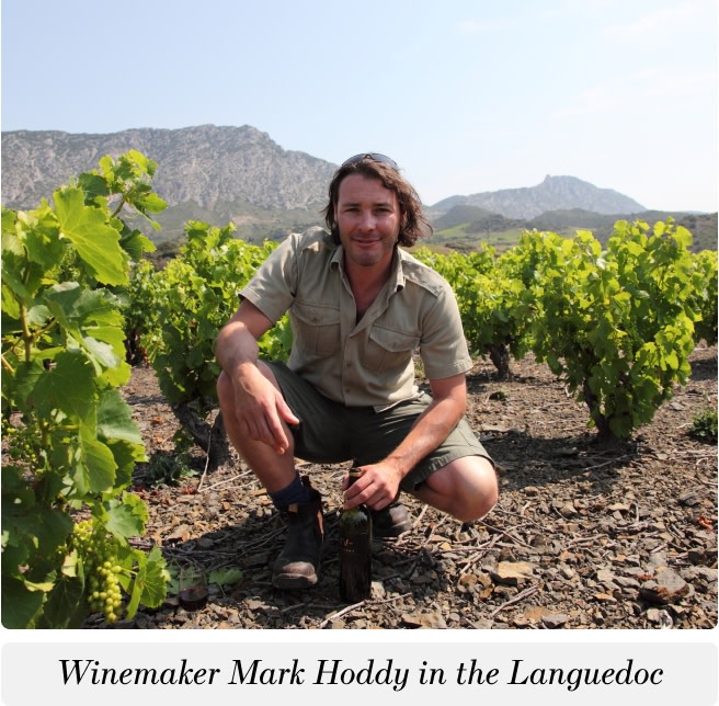 Winemaker Mark Hoddy in his vineyard in the Languedoc region of France