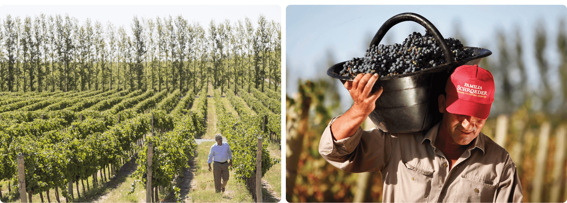 VP El Patrimonio Hero Images 2