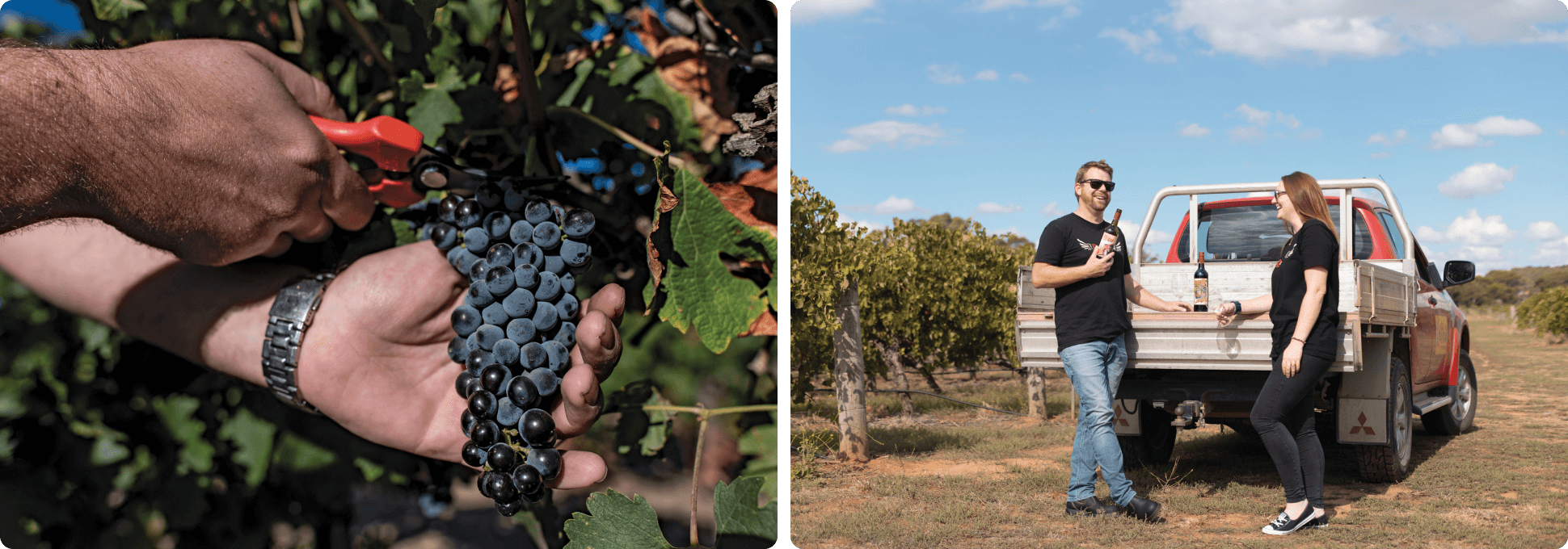 VP RedHeads Hero Images 2