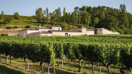 Vineyard Partners - Exclusive access to top vineyards and VIP visits