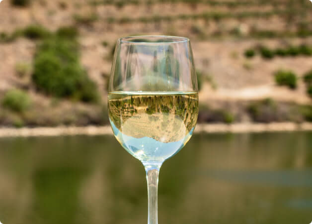 Albarino Guide Blog Card IMage