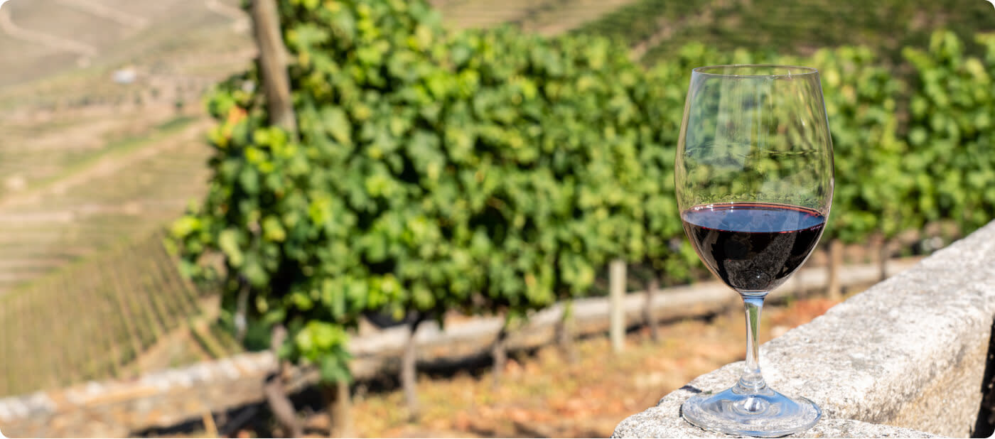 A glass of red Tempranillo wine set on a stone wall with a vineyard in the background