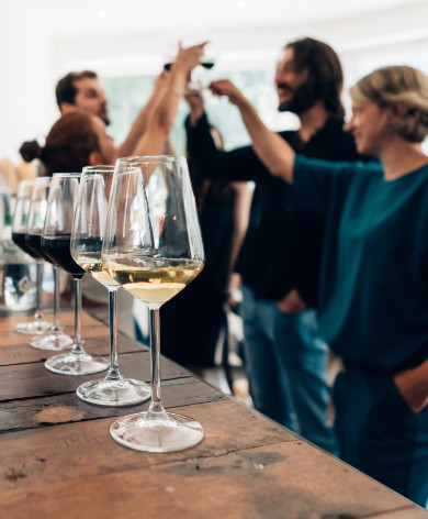 People toasting at a wine tasting with wine glasses in the foreground