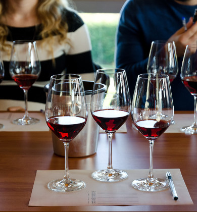 Glasses of red wine at a wine tasting