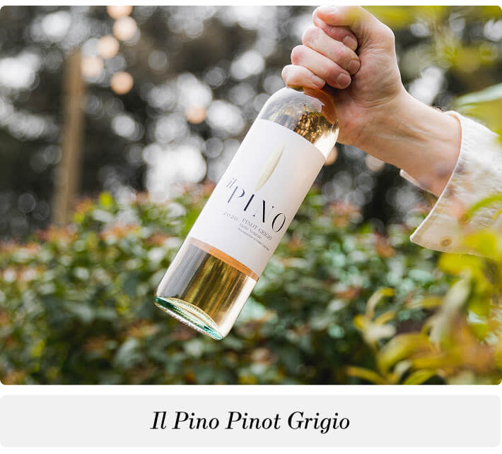 A hand holding a bottle of Il Pinot Pinot Grigio white wine