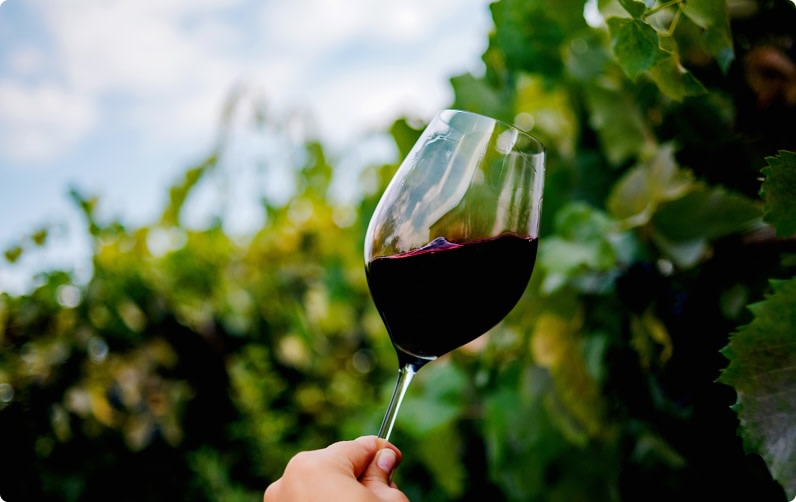 A glass of Cabernet Sauvignon wine