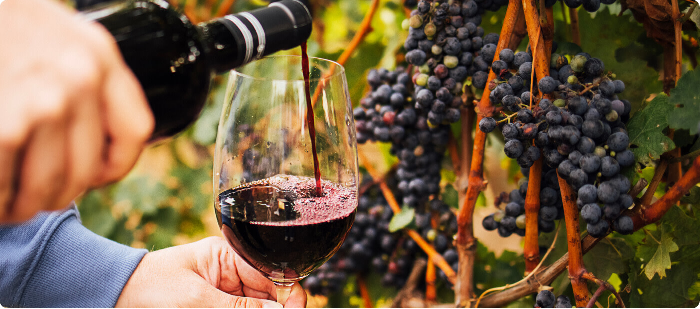 Ultimate guide to Tempranillo wine