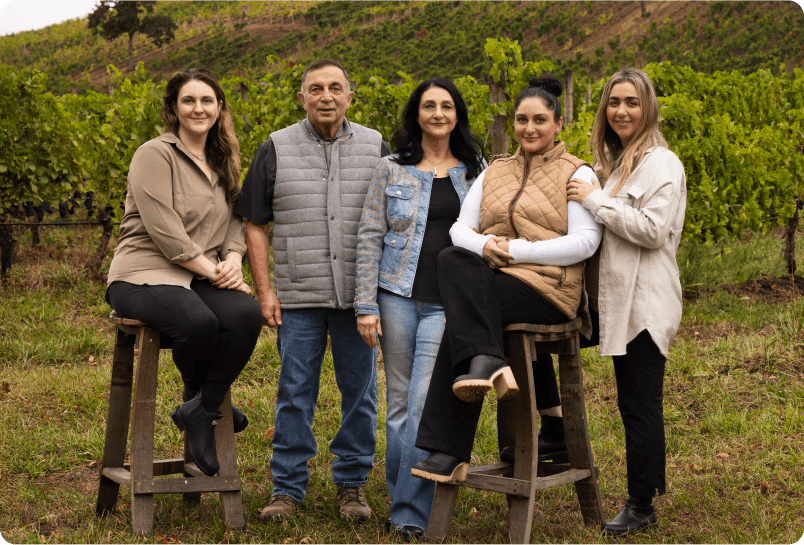 VP Momtazi History Pod 3 Image