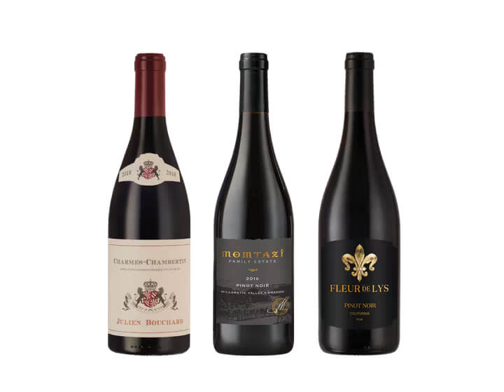 Three bottles of Pinot Noir wine on a blank background