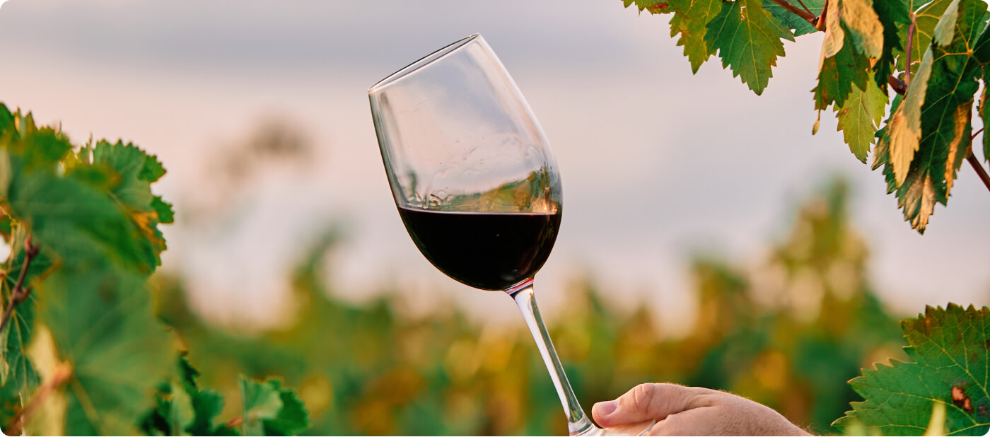A glass of red Chianti wine being held out amongst grapevines