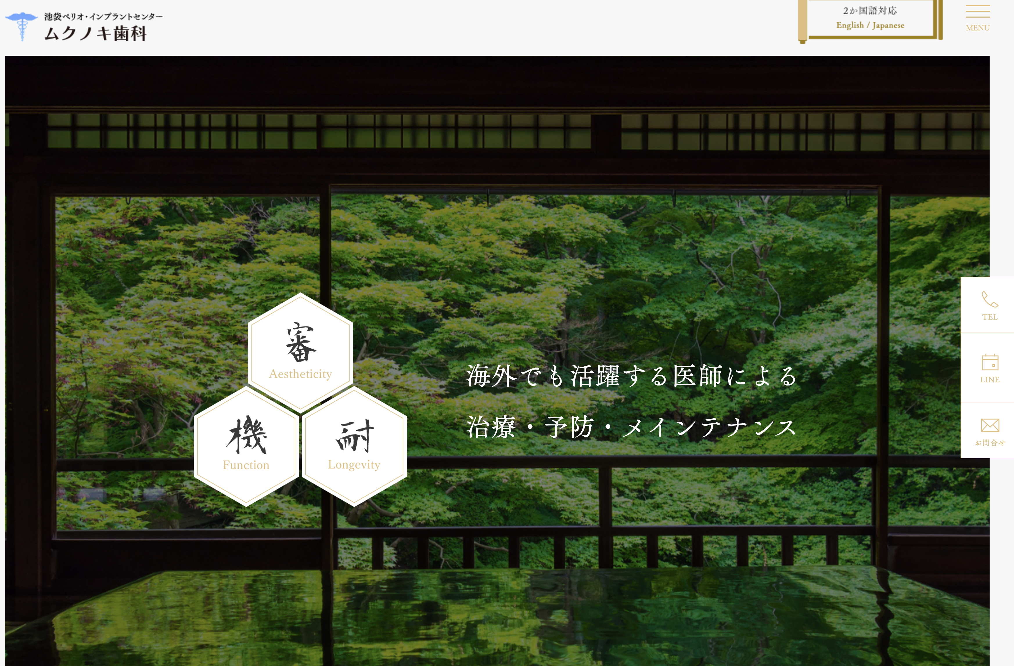 医療法人社団恵志会 ムクノキ歯科