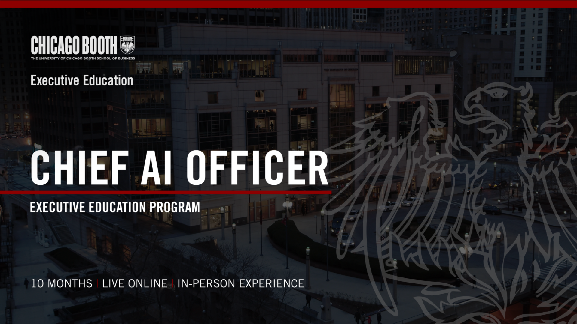 Faculty Insights on the Program  