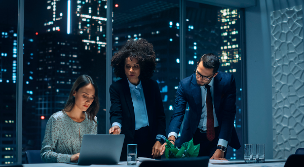 Mid- to Senior-Level Executives