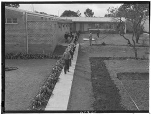 "Westbrook farm home, where 'delinquent' boys of the state are given into the care of the farm supervisor" The reality, however, was torture.