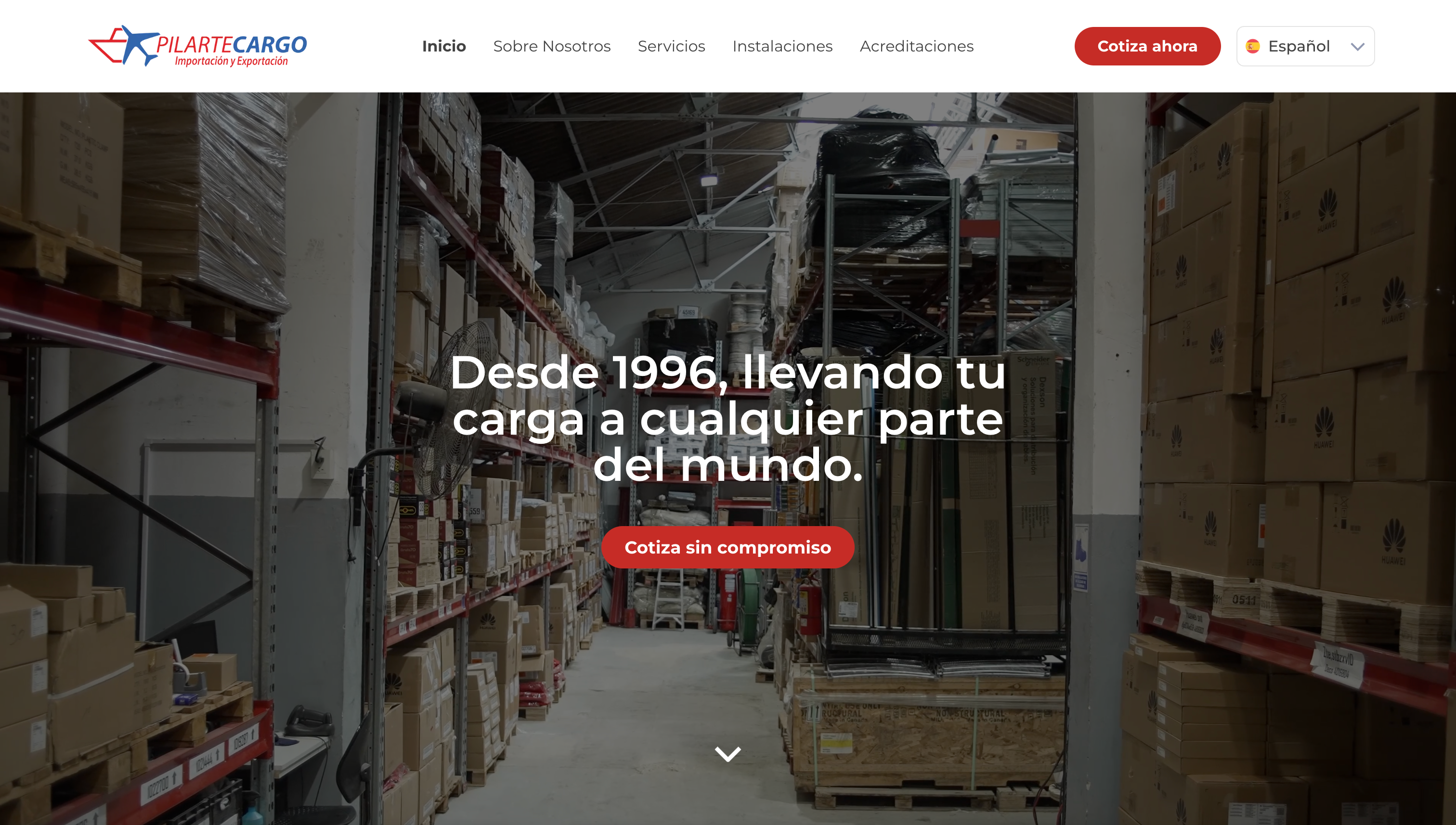 www.pilartecargo.com_es.png