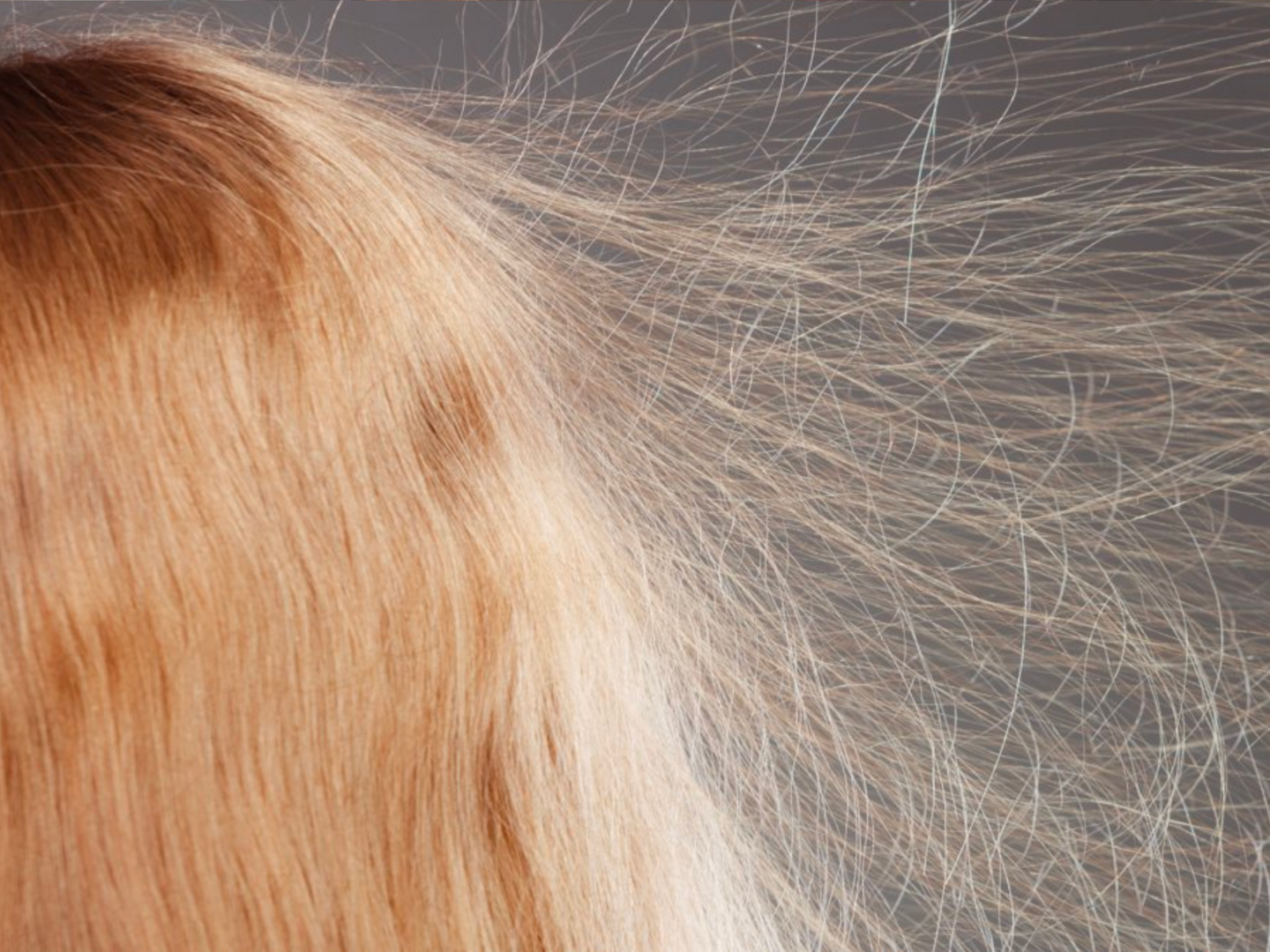 12 Ways to Combat Hair Static in the Winter | Jupiter