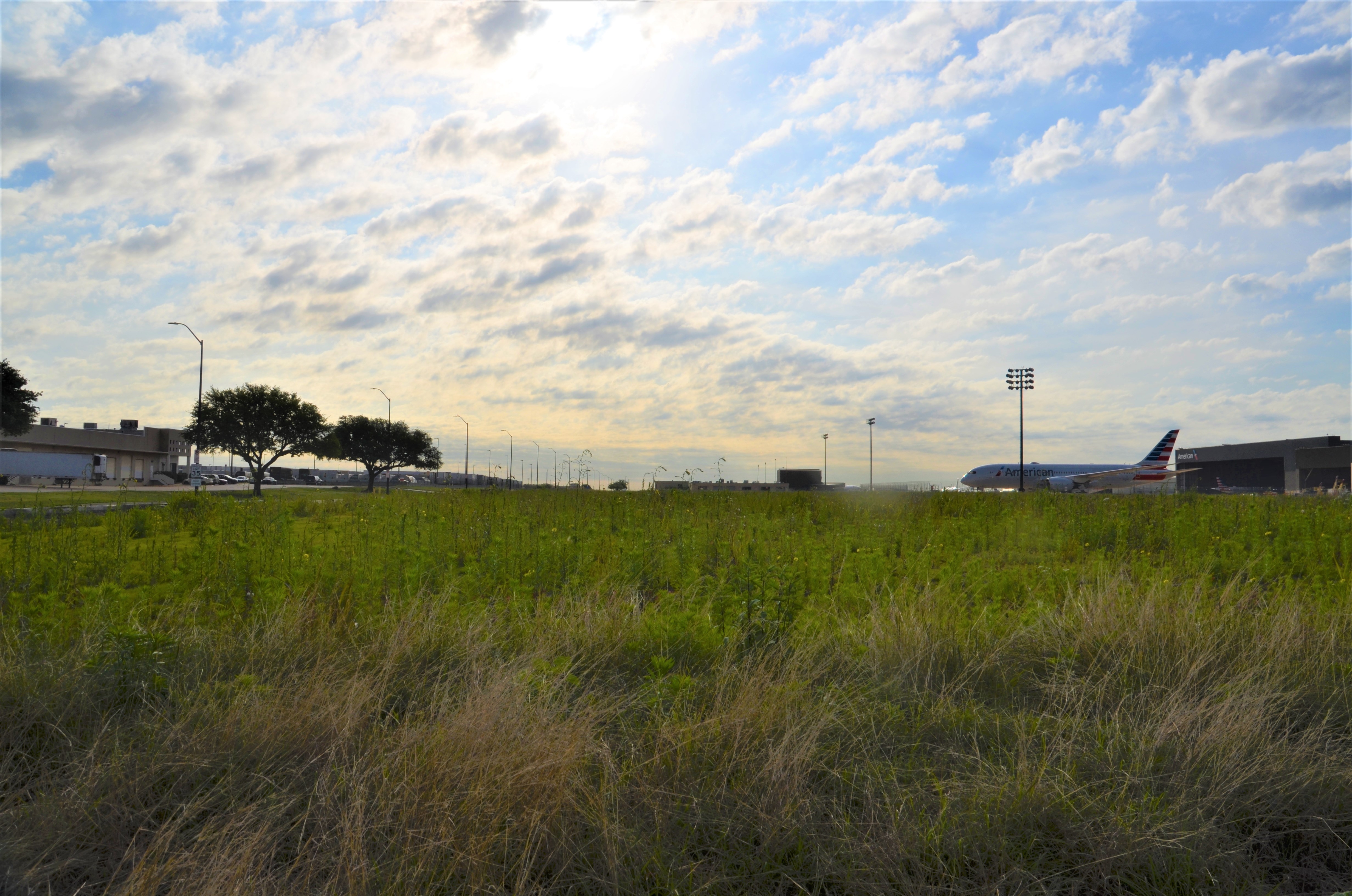 DFW International Airport | Official Website