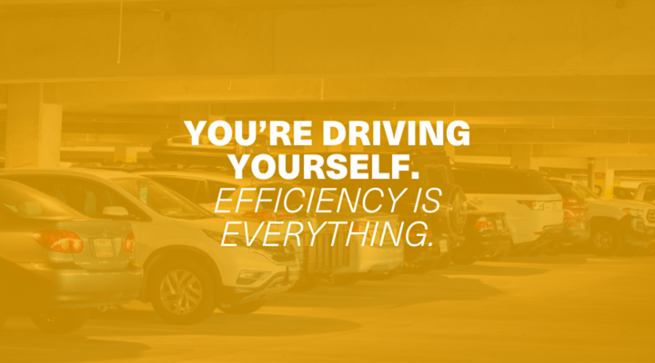 The Petal-to-Plane Pro