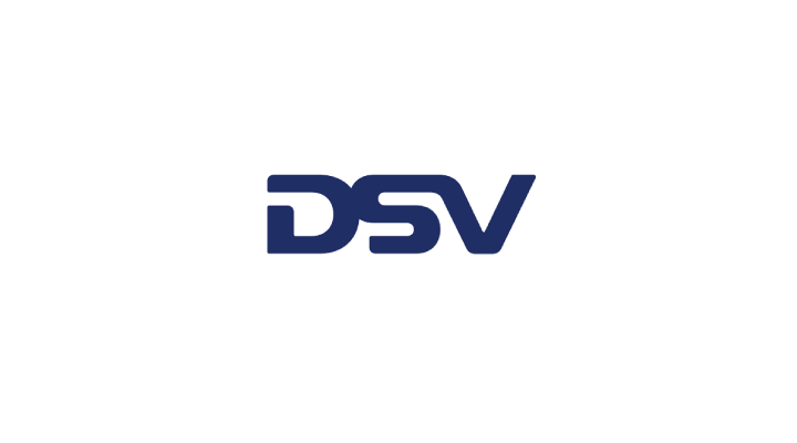 dsv logo