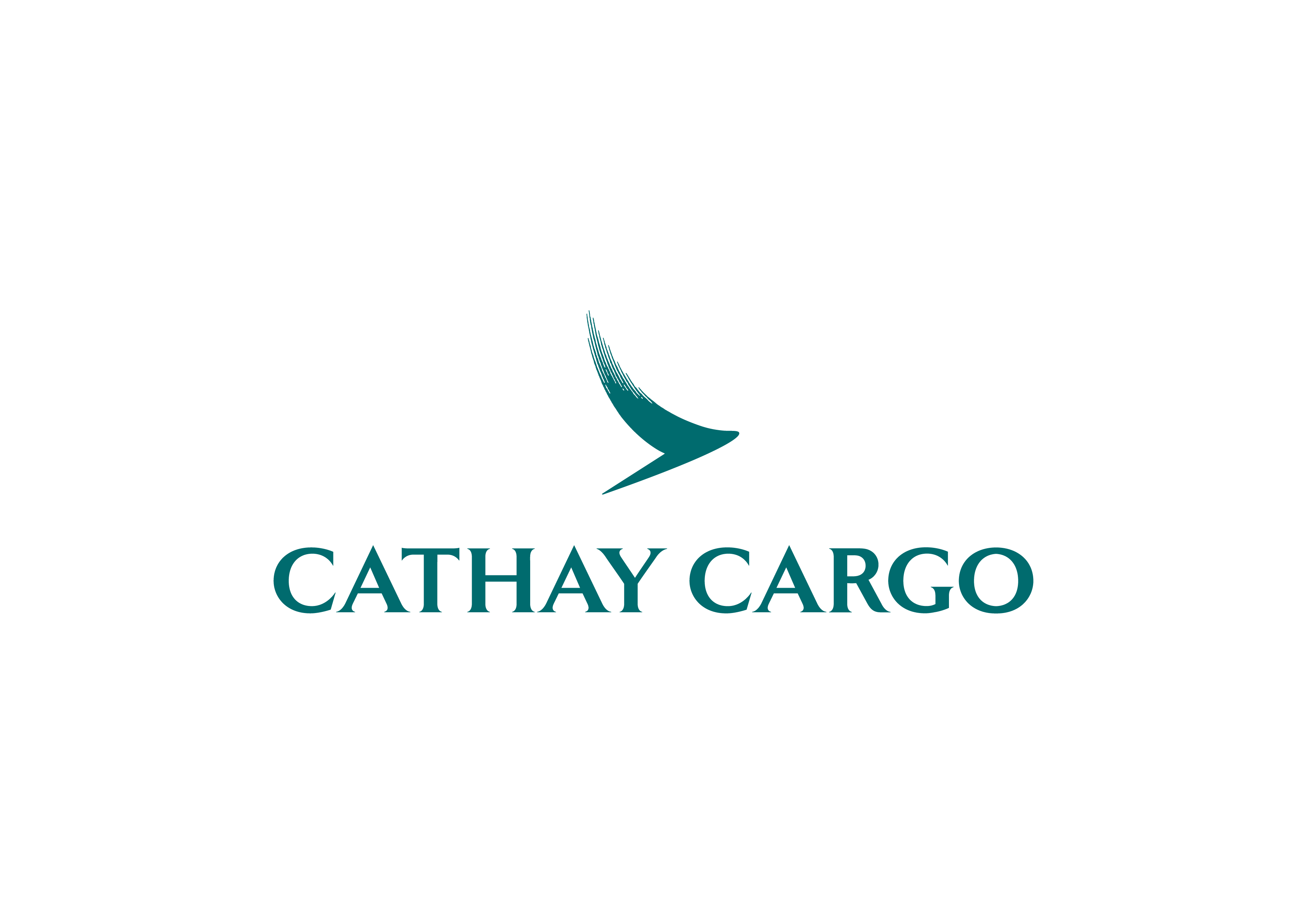 DFW International Airport | Official Website