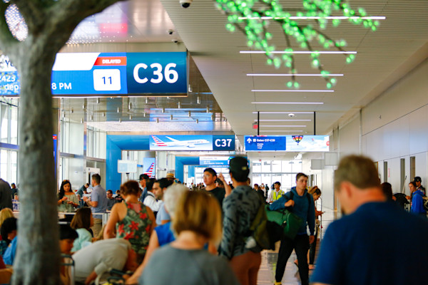 Thanksgiving Travel Update