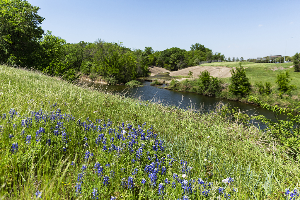 water positive image