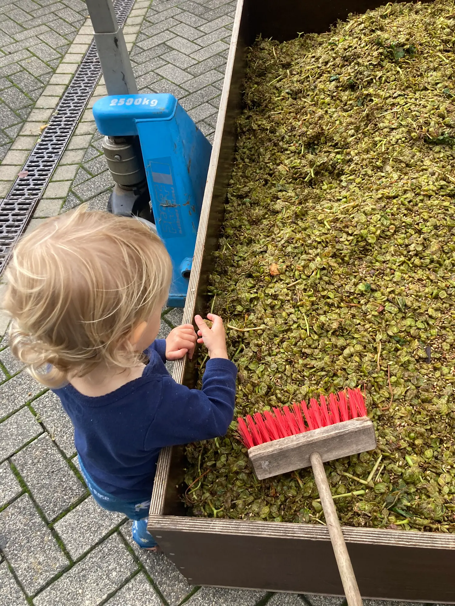 2025-09-11 Trester Nora