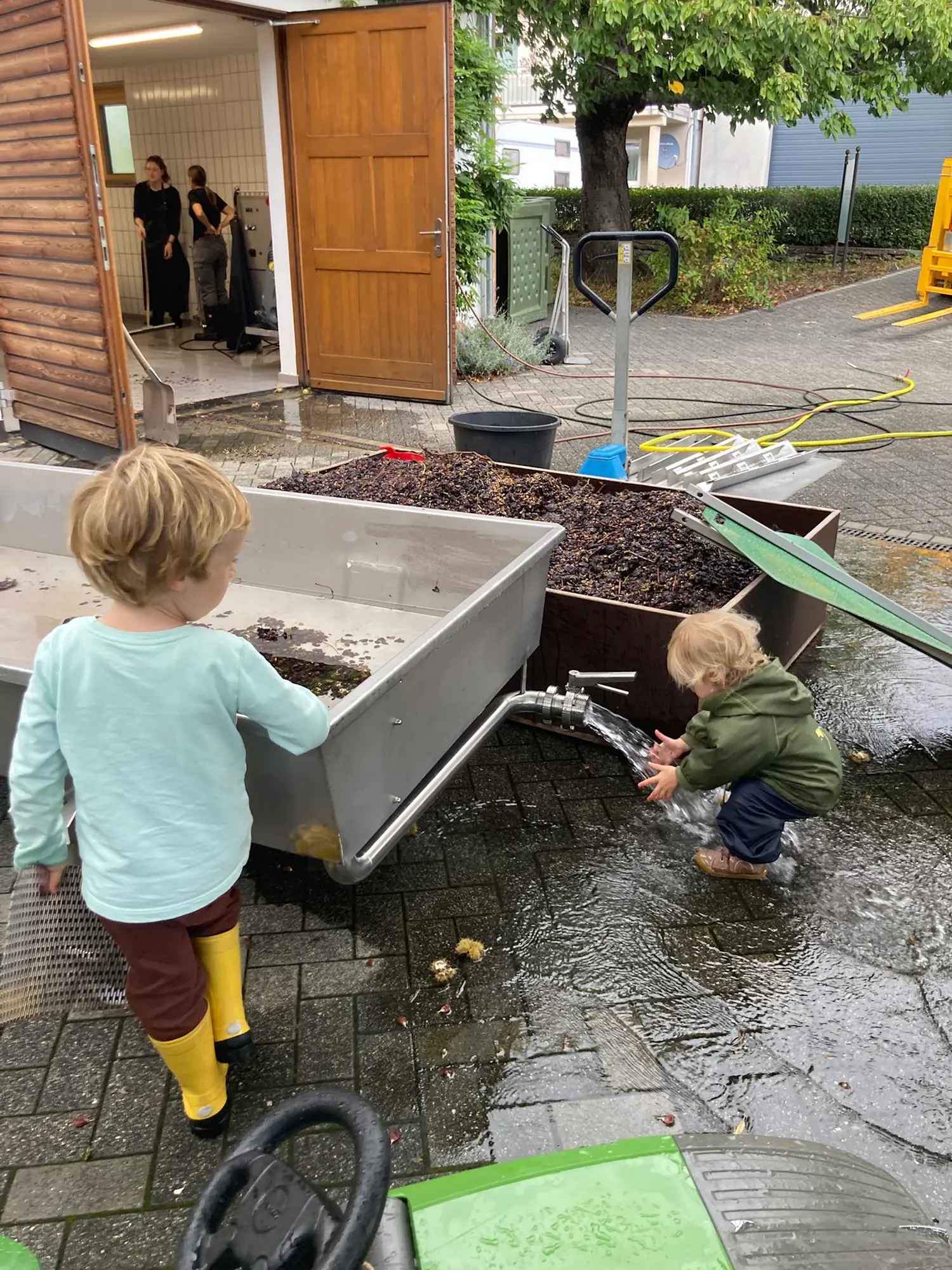 2025-09-16 Traubenlese Kinder