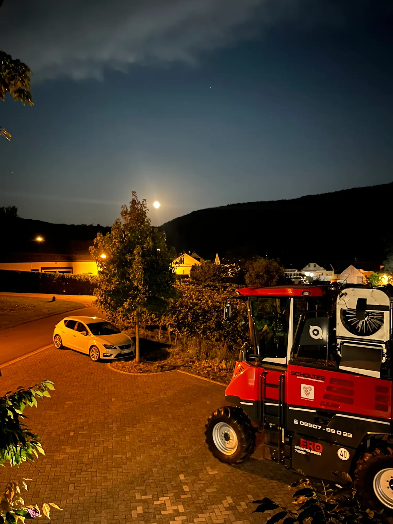 2024-09-19 Traubenvollernter Nacht