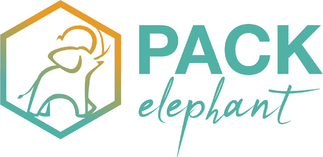 pe logo